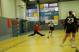 Verbandsliga Ost Frauen TBSV Neugersdorf 1. – Sportfreunde 01 Dresden 19:24 (11:7) – „Helles Licht und dunkler Schatten !“