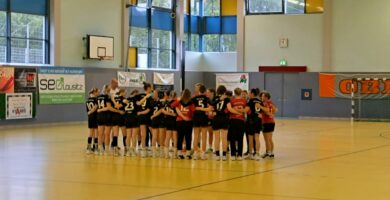 Verbandsliga Ost TBSV Neugersdorf 1. – Radebeuler HV 24:26 (14:14) – „Schmerzlicher Punktverlust“