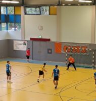 Regionsoberliga OstsachsenTBSV Neugersdorf 1. – Radeberger SV 2. 37:37 (15:13) – „Punkt verloren… oder am Ende doch gewonnen !?“
