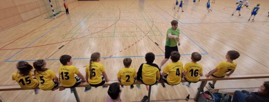 Bericht: Kreisjugendspiele F-Jugend
